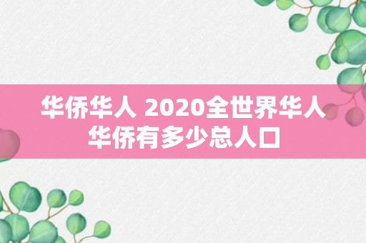 华侨华人 2020全世界华人华侨有多少总人口