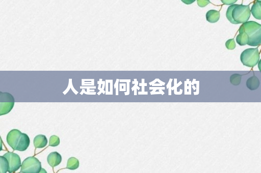 人是如何社会化的