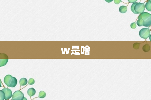 w是啥