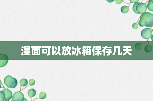 湿面可以放冰箱保存几天