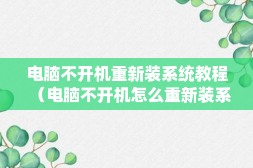 电脑不开机重新装系统教程（电脑不开机怎么重新装系统）