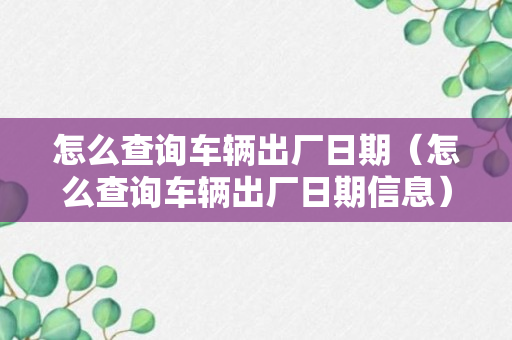 怎么查询车辆出厂日期（怎么查询车辆出厂日期信息）