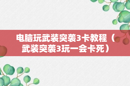 电脑玩武装突袭3卡教程（武装突袭3玩一会卡死）