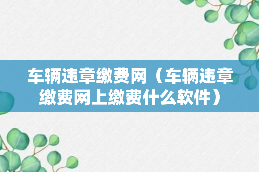 车辆违章缴费网（车辆违章缴费网上缴费什么软件）