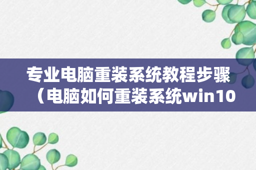 专业电脑重装系统教程步骤（电脑如何重装系统win10专业版）