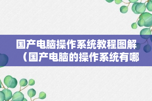 国产电脑操作系统教程图解（国产电脑的操作系统有哪些）