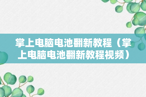 掌上电脑电池翻新教程（掌上电脑电池翻新教程视频）