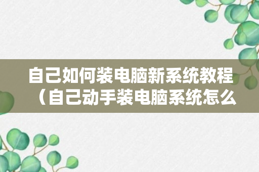 自己如何装电脑新系统教程（自己动手装电脑系统怎么装）