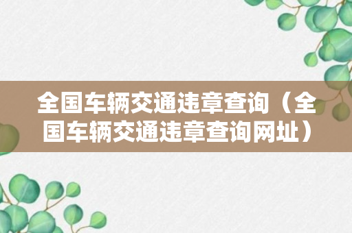 全国车辆交通违章查询（全国车辆交通违章查询网址）