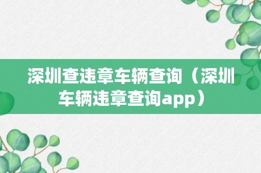 深圳查违章车辆查询（深圳车辆违章查询app）