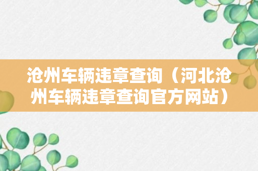 沧州车辆违章查询（河北沧州车辆违章查询官方网站）