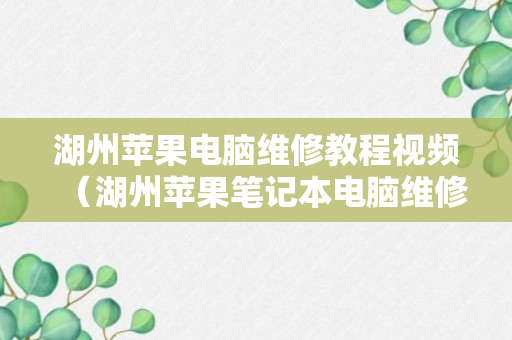 湖州苹果电脑维修教程视频（湖州苹果笔记本电脑维修点）