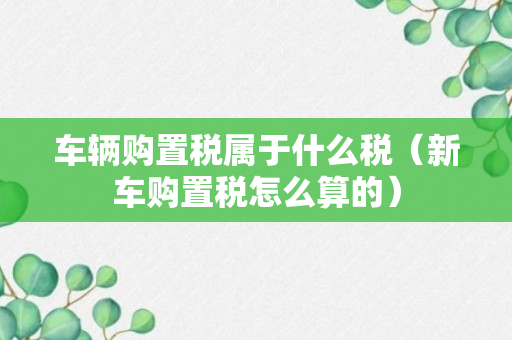 车辆购置税属于什么税（新车购置税怎么算的）