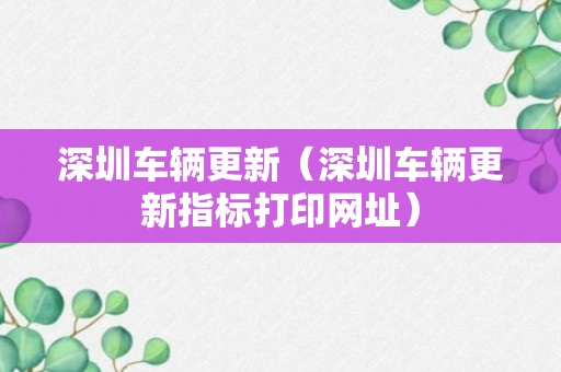 深圳车辆更新（深圳车辆更新指标打印网址）