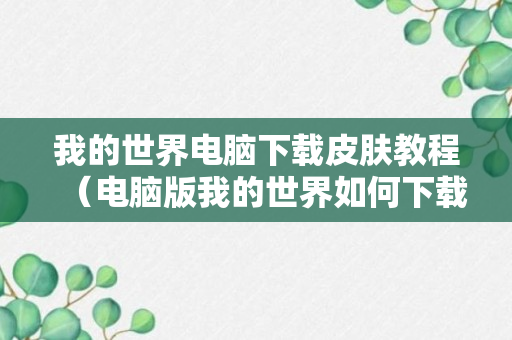 我的世界电脑下载皮肤教程（电脑版我的世界如何下载皮肤）