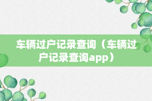 车辆过户记录查询（车辆过户记录查询app）