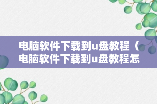 电脑软件下载到u盘教程（电脑软件下载到u盘教程怎么下载）