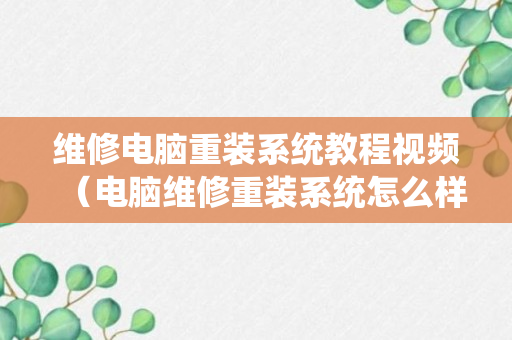 维修电脑重装系统教程视频（电脑维修重装系统怎么样）