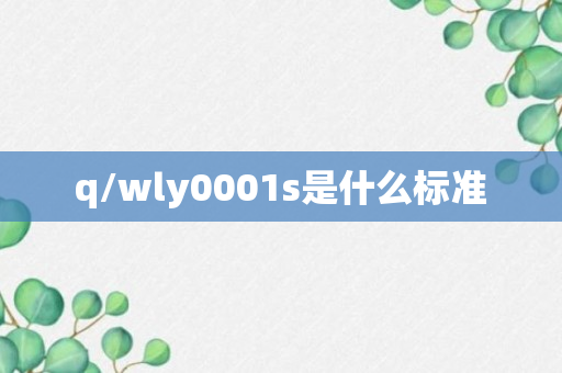 q/wly0001s是什么标准