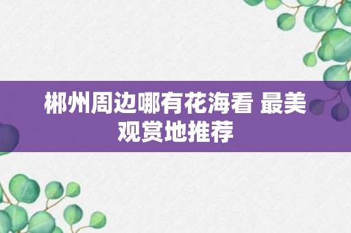 郴州周边哪有花海看 最美观赏地推荐