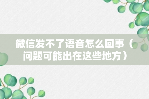 微信发不了语音怎么回事（问题可能出在这些地方）