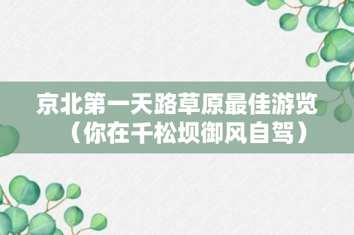 京北第一天路草原最佳游览（你在千松坝御风自驾）