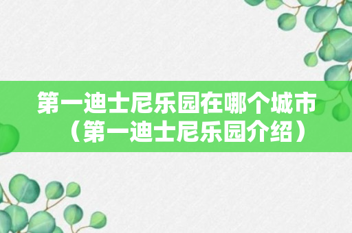 第一迪士尼乐园在哪个城市（第一迪士尼乐园介绍）