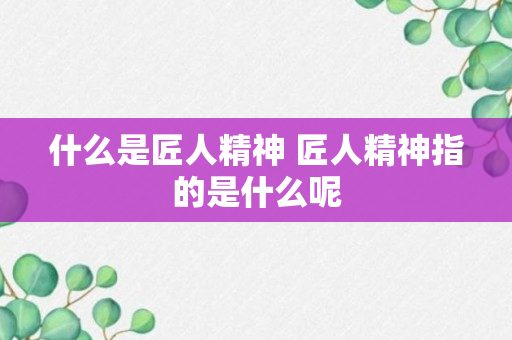 什么是匠人精神 匠人精神指的是什么呢