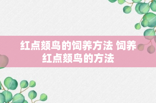 红点颏鸟的饲养方法 饲养红点颏鸟的方法