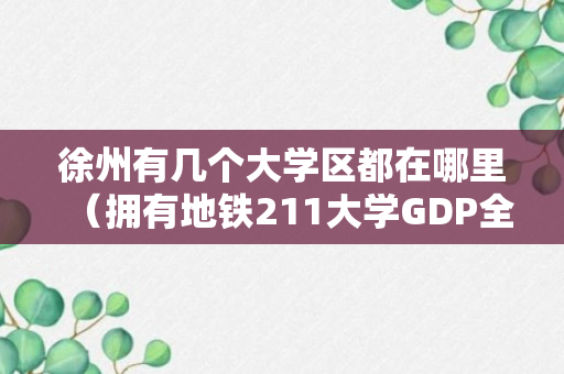 徐州有几个大学区都在哪里（拥有地铁211大学GDP全国前30）