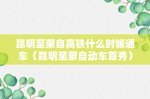 昆明至蒙自高铁什么时候通车（昆明至蒙自动车首秀）