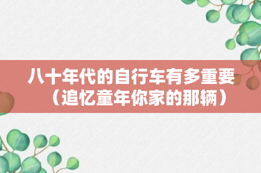 八十年代的自行车有多重要（追忆童年你家的那辆）