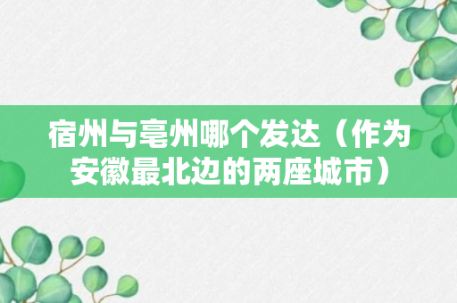 宿州与亳州哪个发达（作为安徽最北边的两座城市）