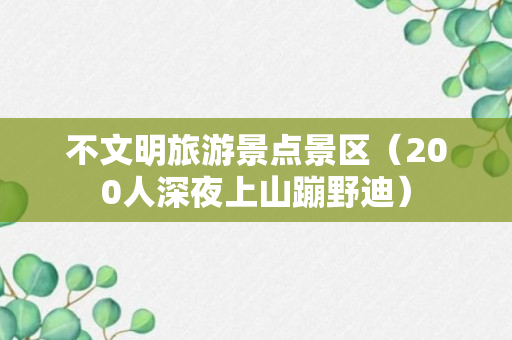 不文明旅游景点景区（200人深夜上山蹦野迪）