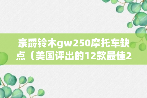 豪爵铃木gw250摩托车缺点（美国评出的12款最佳250级别摩托车）