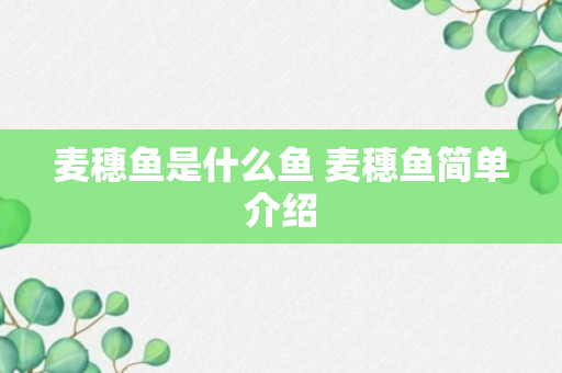 麦穗鱼是什么鱼 麦穗鱼简单介绍