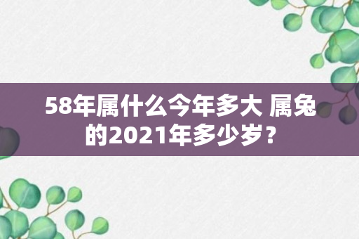 58年属什么今年多大 属兔的2021年多少岁？