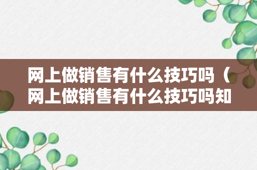 网上做销售有什么技巧吗（网上做销售有什么技巧吗知乎）