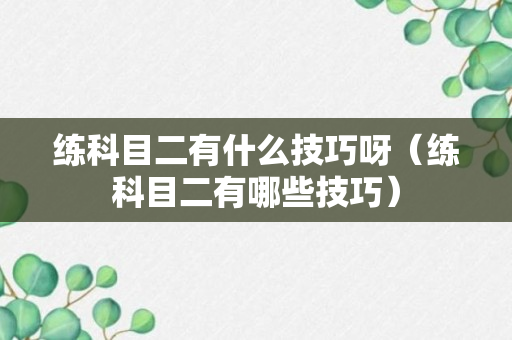 练科目二有什么技巧呀（练科目二有哪些技巧）