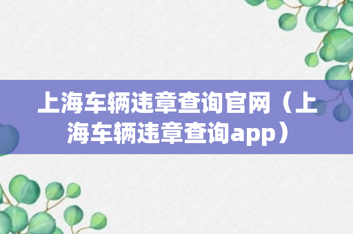 上海车辆违章查询官网（上海车辆违章查询app）