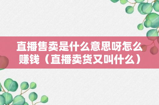 直播售卖是什么意思呀怎么赚钱（直播卖货又叫什么）