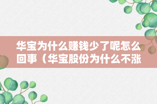 华宝为什么赚钱少了呢怎么回事（华宝股份为什么不涨）