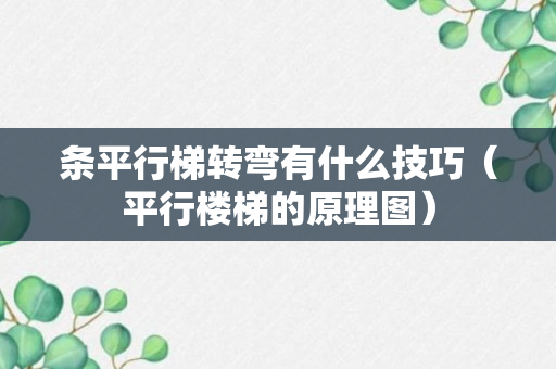 条平行梯转弯有什么技巧（平行楼梯的原理图）