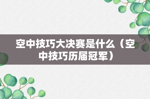 空中技巧大决赛是什么（空中技巧历届冠军）