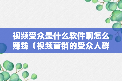 视频受众是什么软件啊怎么赚钱（视频营销的受众人群）