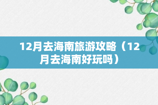 12月去海南旅游攻略（12月去海南好玩吗）