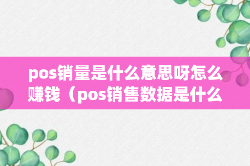 pos销量是什么意思呀怎么赚钱（pos销售数据是什么意思）