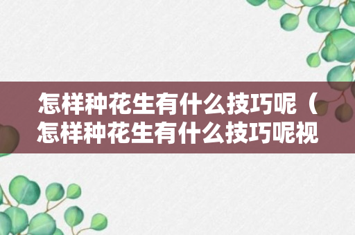 怎样种花生有什么技巧呢（怎样种花生有什么技巧呢视频）