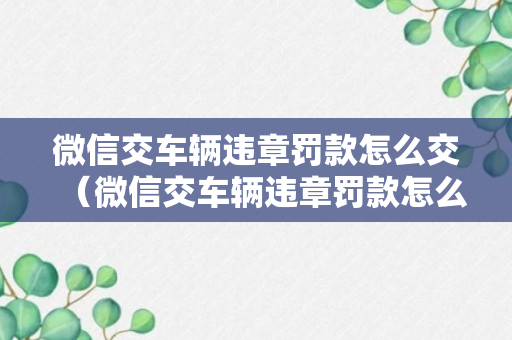 微信交车辆违章罚款怎么交（微信交车辆违章罚款怎么交钱）