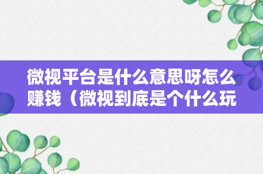 微视平台是什么意思呀怎么赚钱（微视到底是个什么玩意儿）